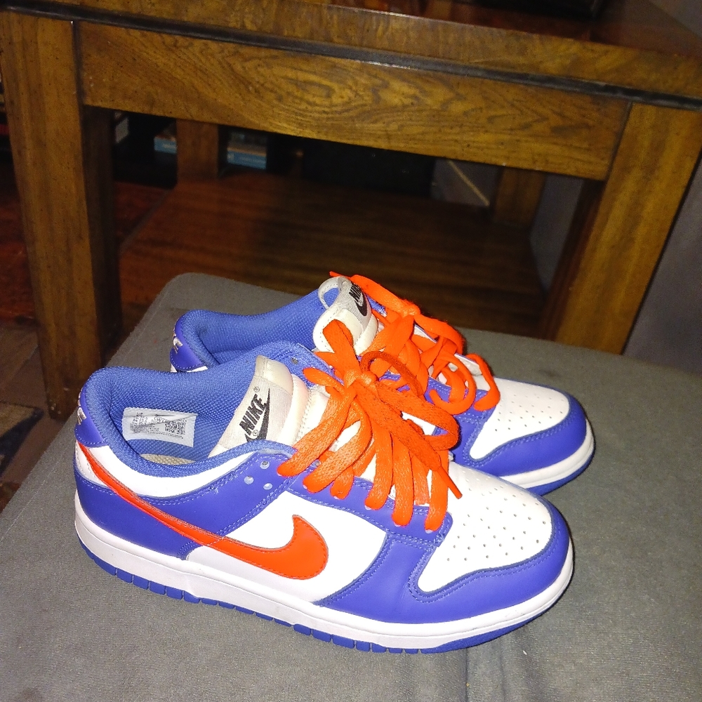 Nike dunk lo